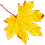 leaf-1