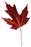 leaf-4