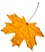 leaf-5